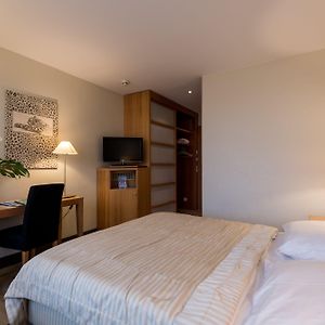 Superior Kamer met een King Size Bed